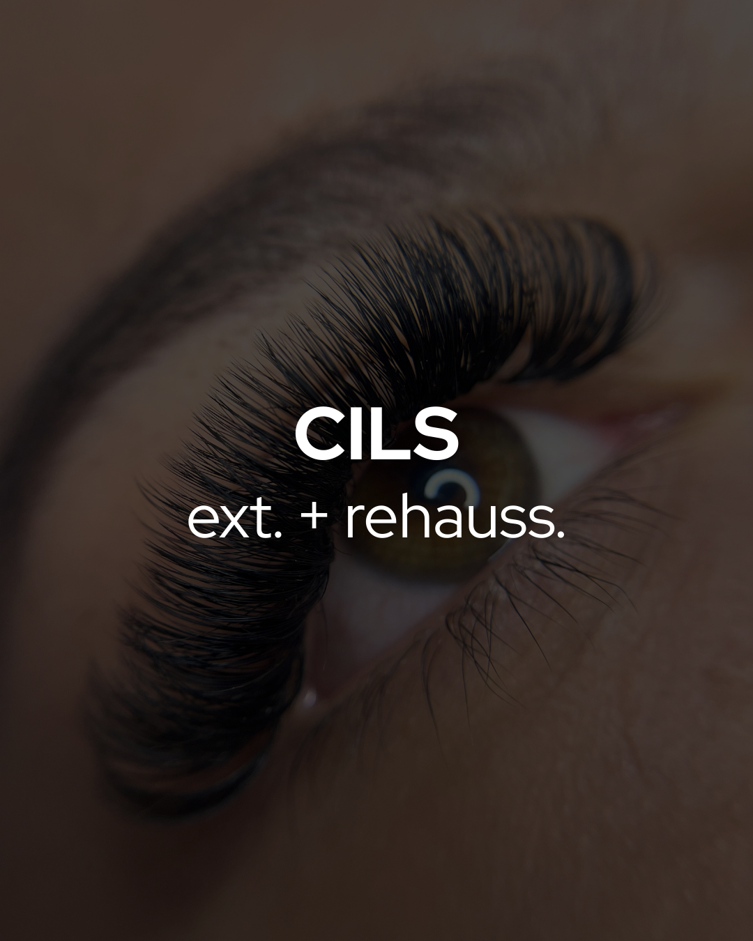 CILS - Rehaussement + Extensions