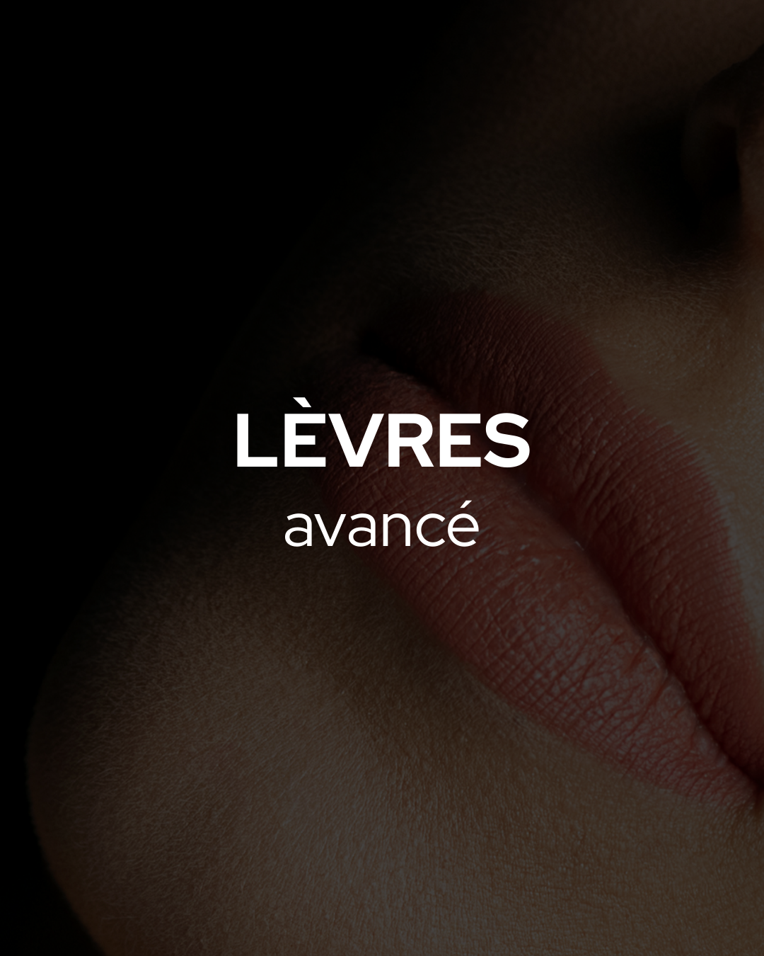 PMU – Lèvres (Avancé)